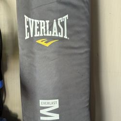 Everlast Punching Bag 