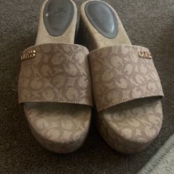 Guess Platorms