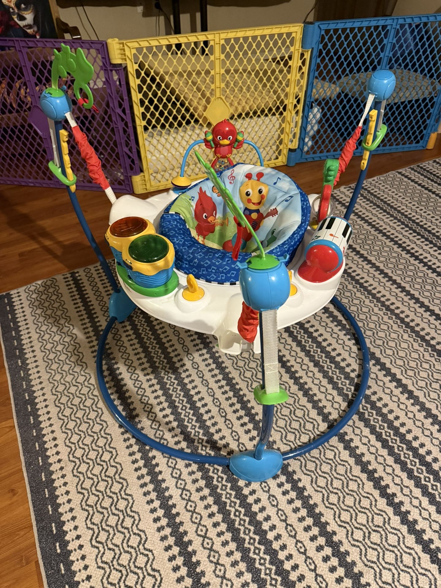 Baby Einstein Jumper