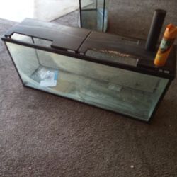 Fish Tank 