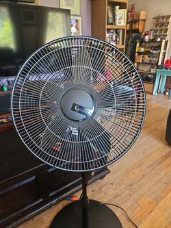 Oscillating fan with timer