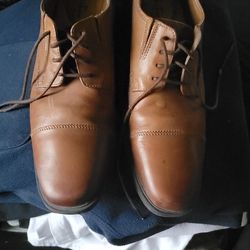 Clarks Collection Tilden Mens  Dress Shoes