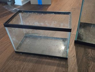 Two 5 gallon fish tanks