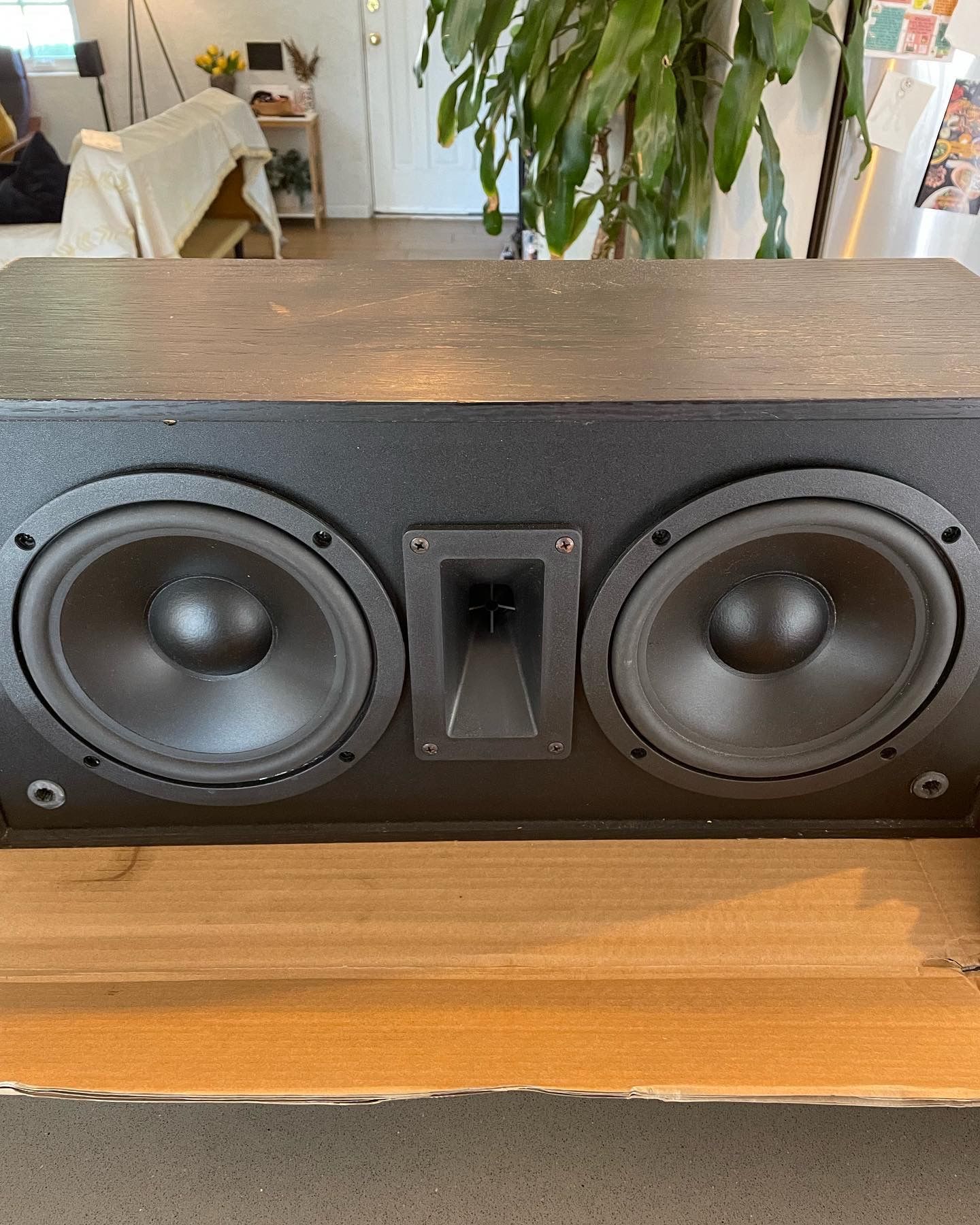 Vintage Klipsch Academy center channel speaker