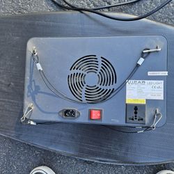 Light For Indoor Plants