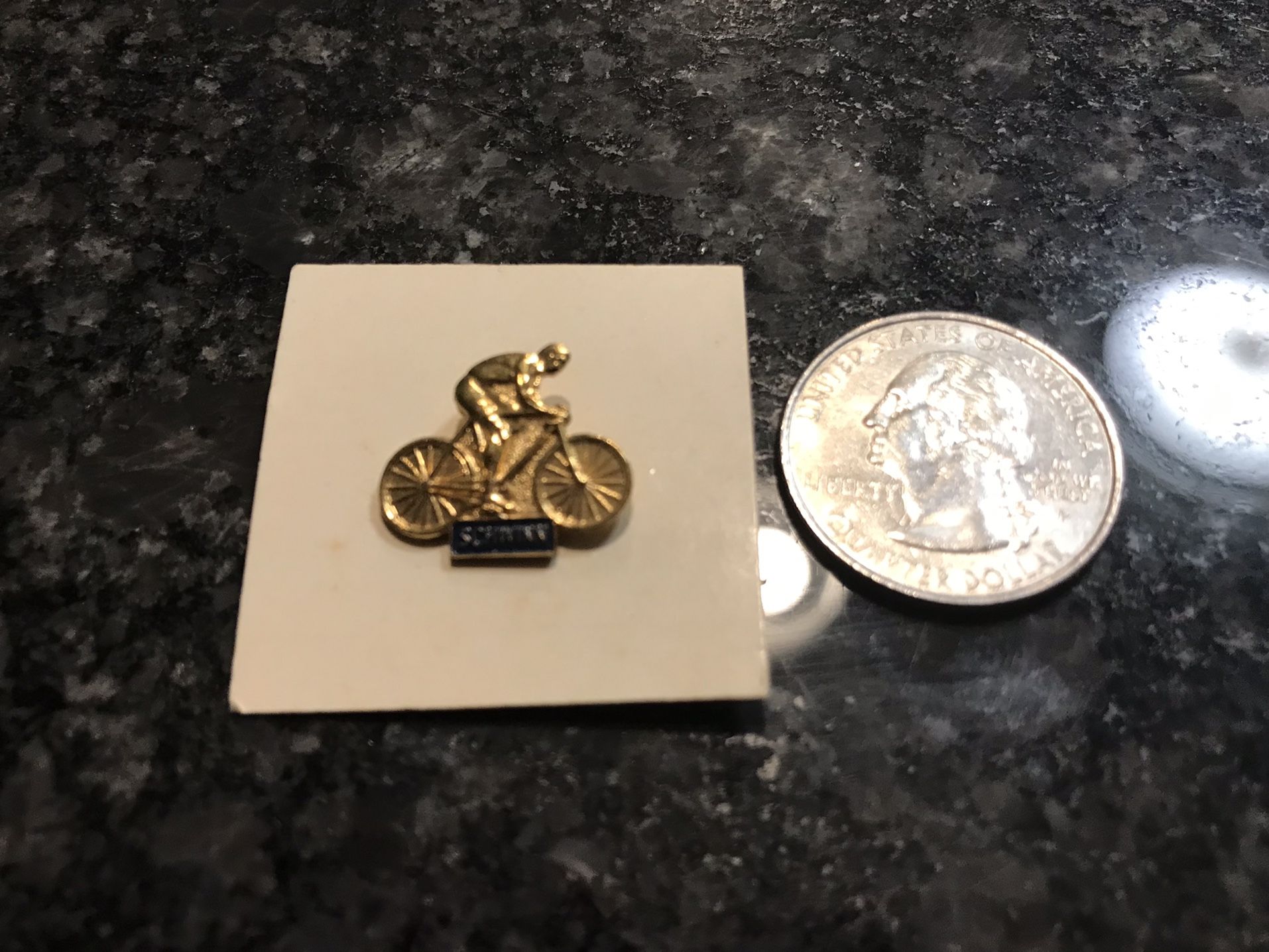 Vintage Schwinn Bicycle Pin