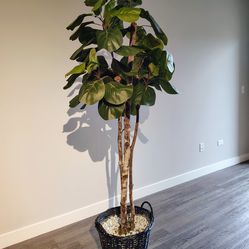 Artificial fiddle leaf fig tree