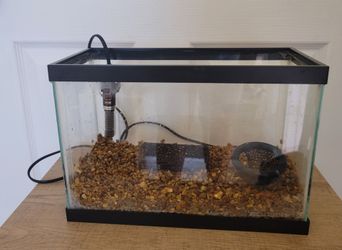 2.5 gallon Fish tank