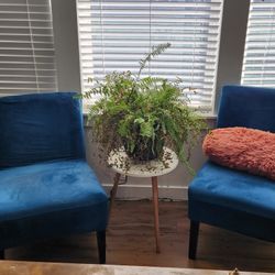 2 Accent Chairs