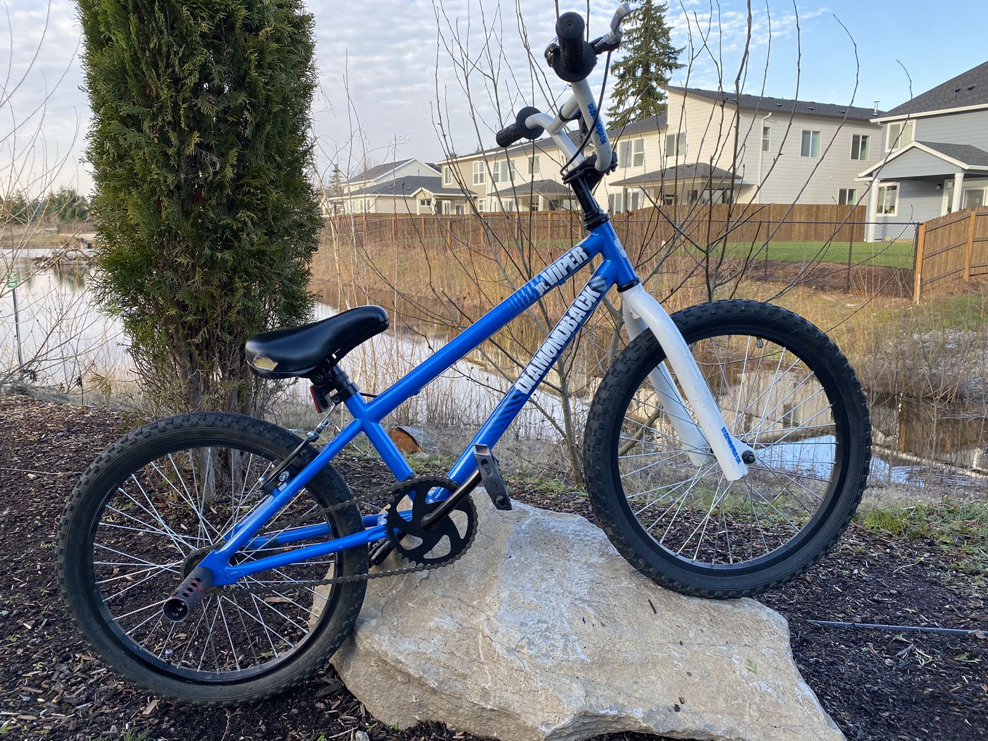 BMX BIKE DIAMAND BACK