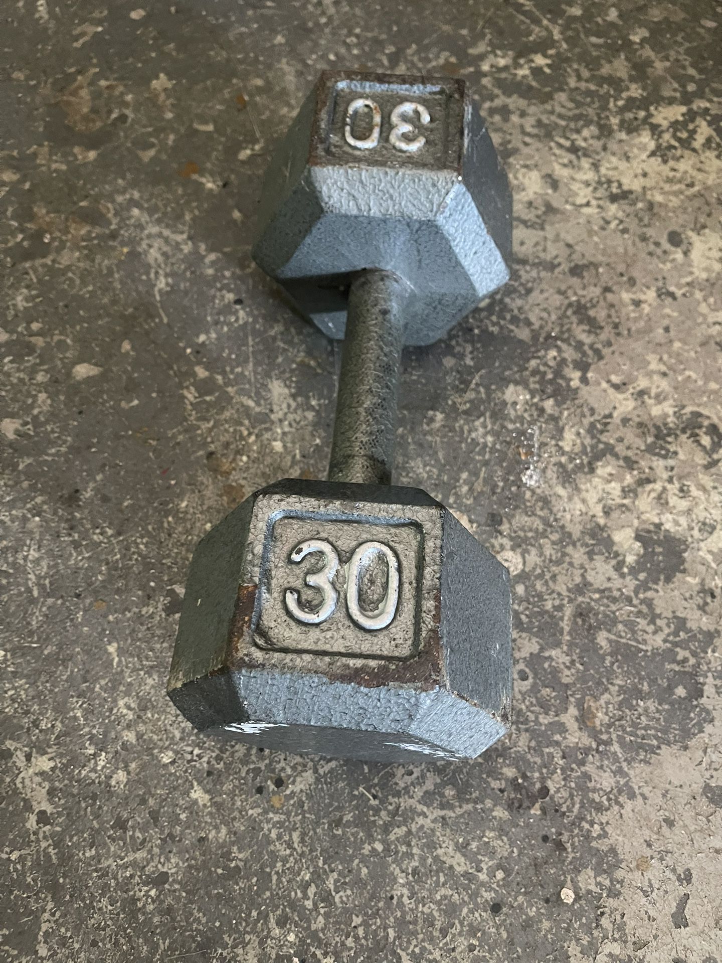 30LB Dumbbell Weight