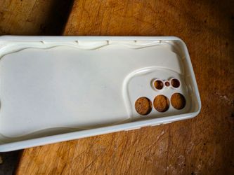 Case
