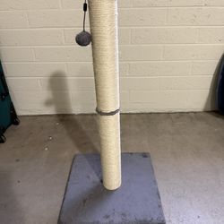 Cat Scratching Post