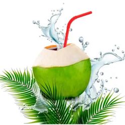 Fresh Coconut Water 