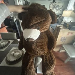 Dark Brown Bear 59 Inches - $40