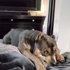 Lu