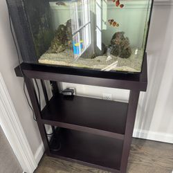 Fluval Evo Saltwater Tank 