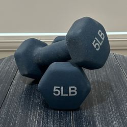 Set Of Two 5 Pound Hand Weights