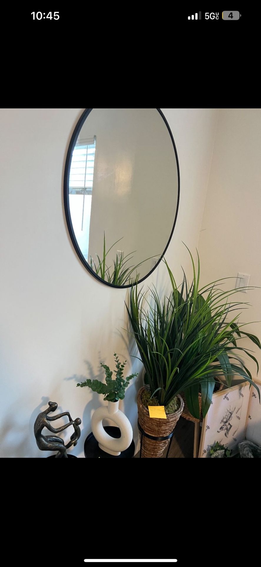 Mirror And Plants