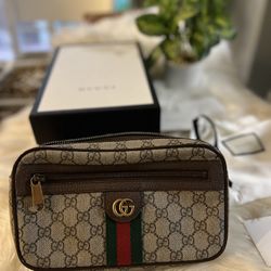 GUCCI Waist Bag Ophidia 