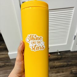Water Tumbler With Lid, Straw & Stickers 