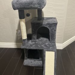 New Cat Scratcher