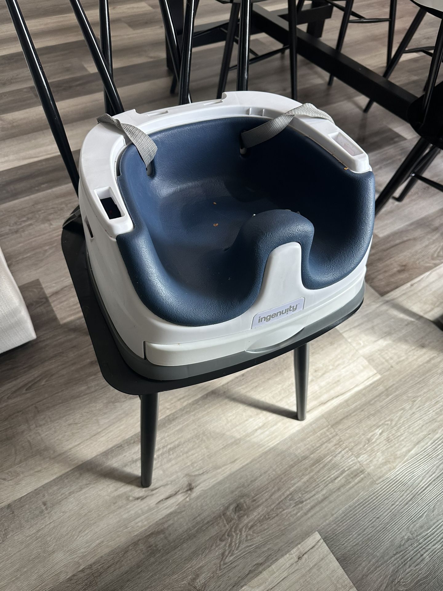 Ingenuity Booster Seat