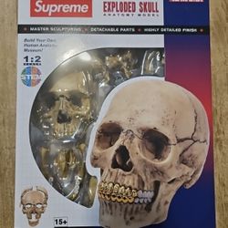 Supreme Human Skull Model 4D 21 Piece Puzzle With Gold Grills FW23