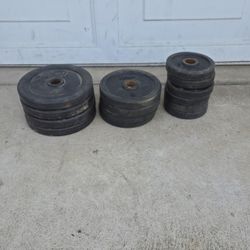 weights total 65 lbs!