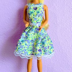 Vintage & Fashonista Barbie Dolls & Accessories.