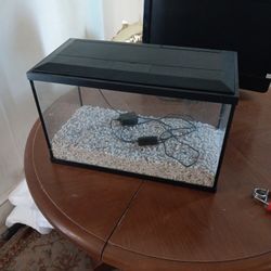 Fish Tank 