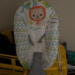 Baby Bouncer