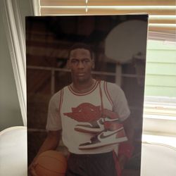 Air Jordan 1 Retro OG High