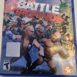 ps4 wwe 2k battle ground Video Game