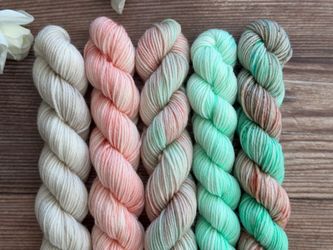 Saltwater Boardwalk Mini Skein Set – Hand Dyed Yarn Fade Collection | Coastal Pastels | Seafoam, Coral & Sand Tones