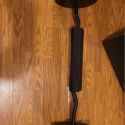Ez Curl Bar