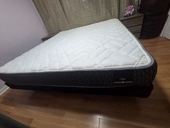 King size Bed frame - includes mattress holder, mattress, and sponge topper