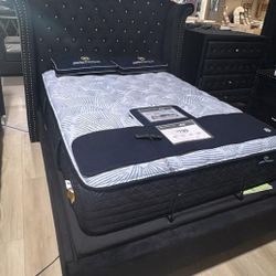 OM• $38 Initial • Brand New Bed Frame 