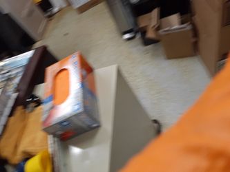 I'm looking to adopt one kitten..!