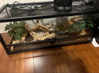 20 Gallon Reptile Tank