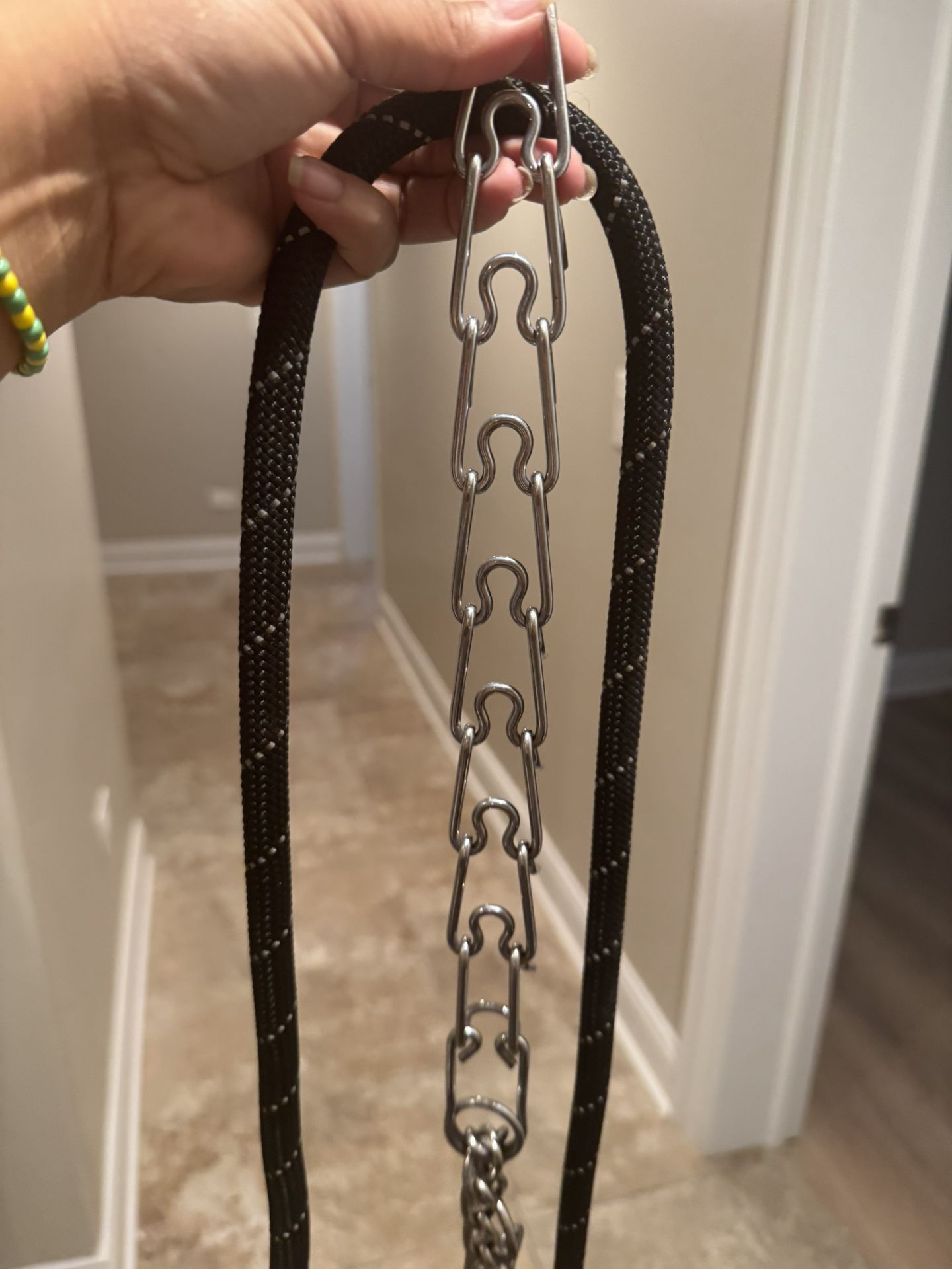 Prong Collar And Leash