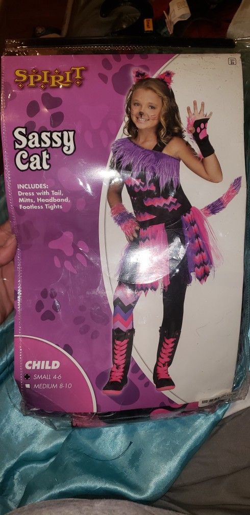 Sassy cat costume 