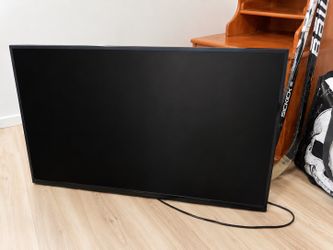 Dynex Flat Screen TV