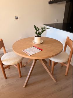 Mid century modern table and plant