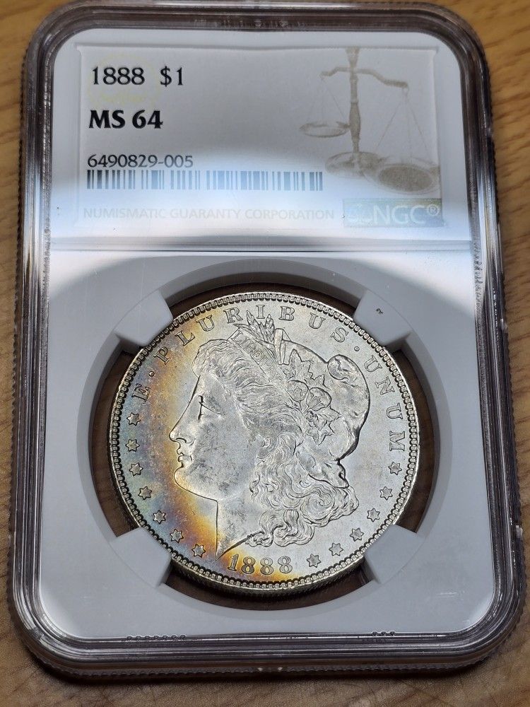 Toned Morgan Dollar