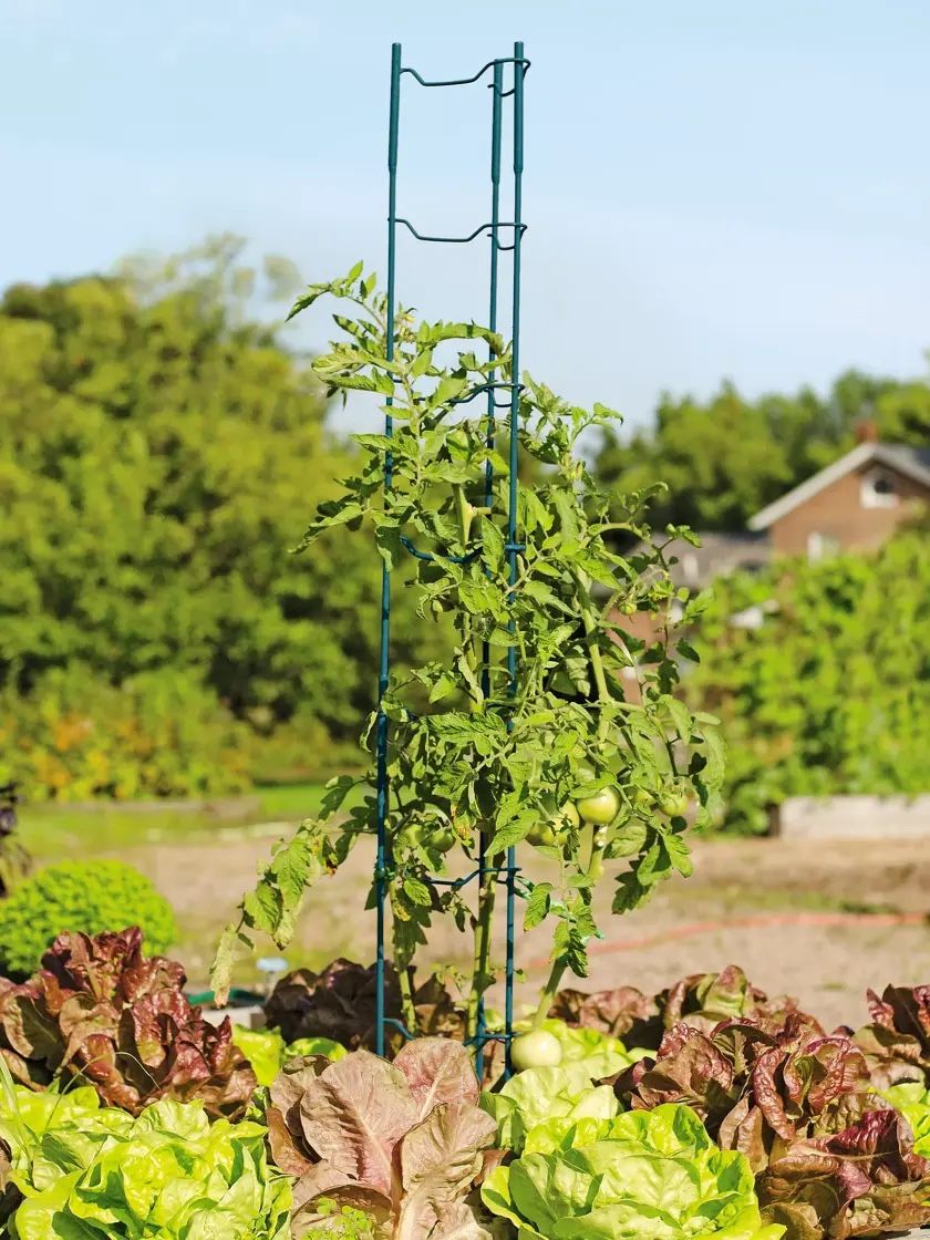NEW Gardener’s Supply Company Plant Ladder (single)