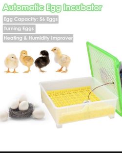 Egg Incubator 