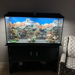 Fish Tank With Stand 60 Gallon 