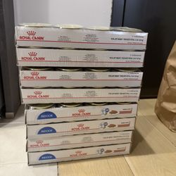 Royal Canin Indoor Wet Cat Food