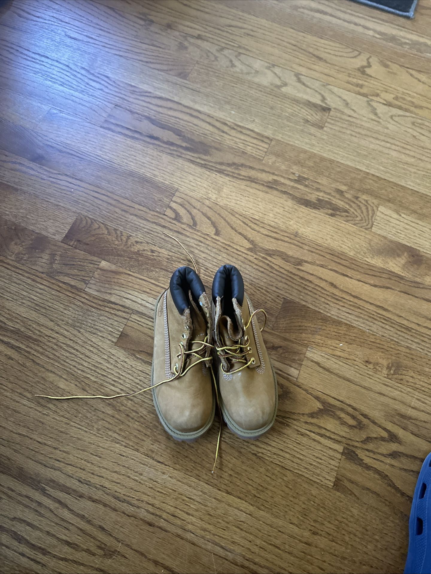 Boys Timberland Boots 12